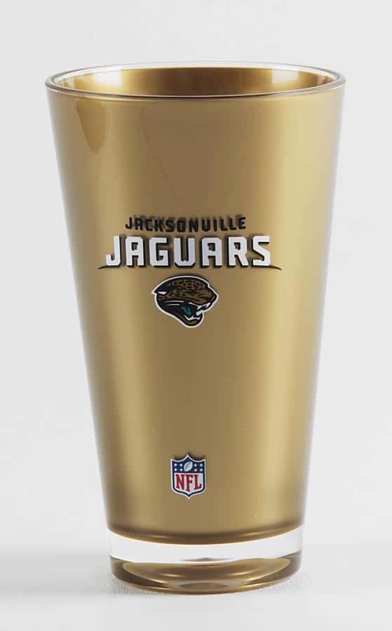 Insulated Acrylic Tumblers Licensed NFL Teams Fan Gear 20 oz cups